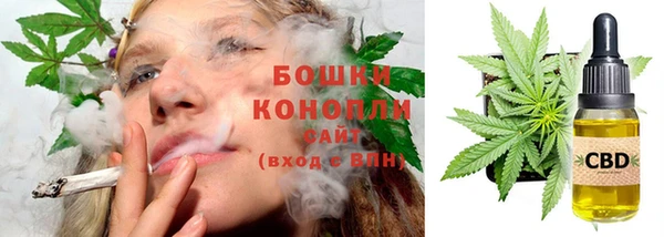 сатива Богородицк