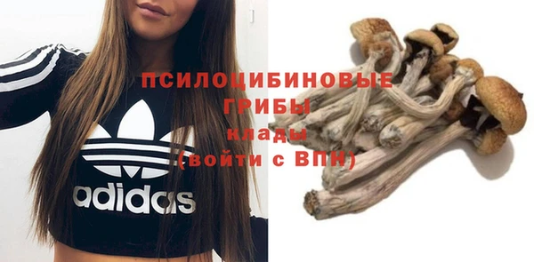 Альфа ПВП Богданович