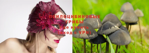 сатива Богородицк