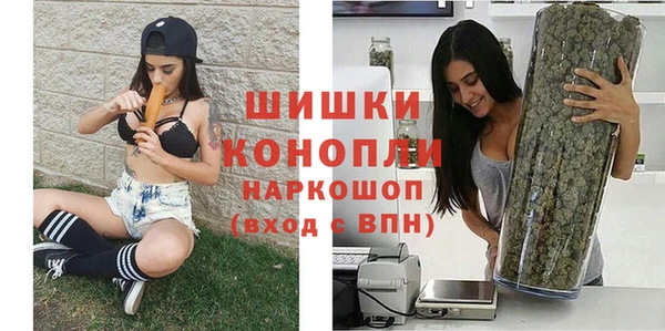 сатива Богородицк