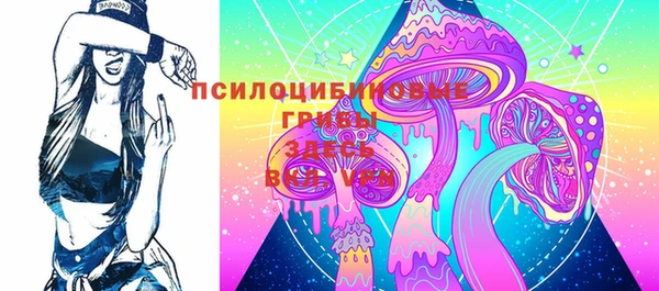 эйфоретик Богородск