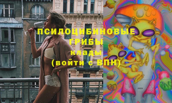 эйфоретик Богородск
