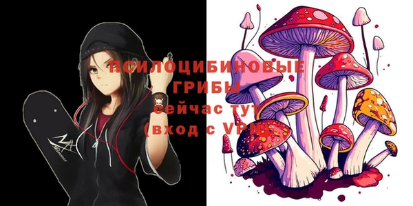 эйфоретик Богородск