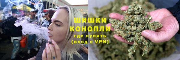 сатива Богородицк