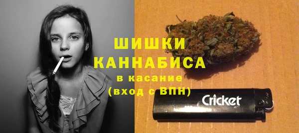 сатива Богородицк